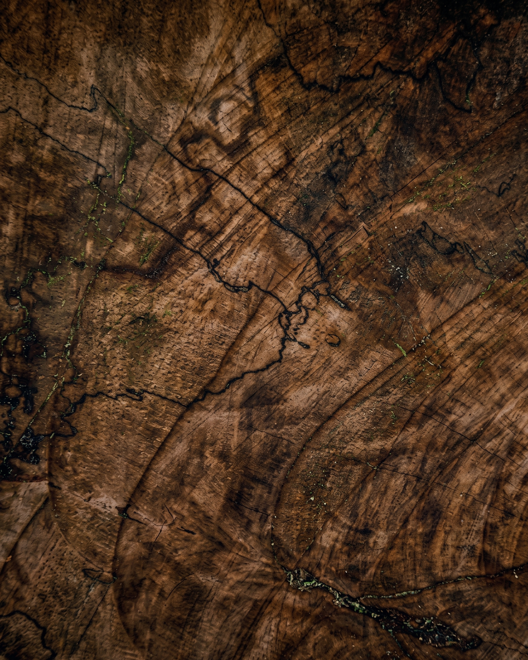 Woodsy & Rustic