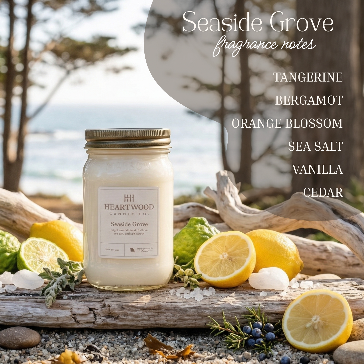 Seaside Grove | 16oz Mason Jar Soy Wax Candle | Clean Burning